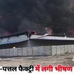 WhatsApp Image 2025-12-06 at 11.36.22