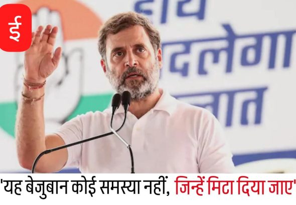 WhatsApp Image 2025-08-12 at 12.13.25