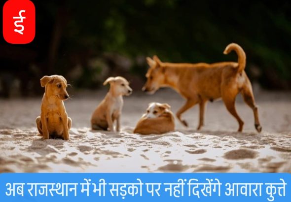 WhatsApp Image 2025-08-12 at 12.46.16