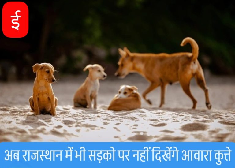 WhatsApp Image 2025-08-12 at 12.46.16