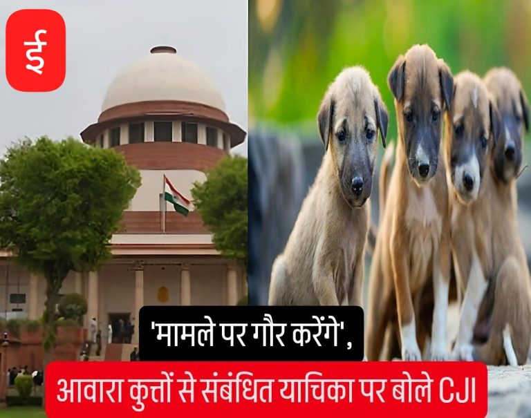 WhatsApp Image 2025-08-13 at 12.15.52