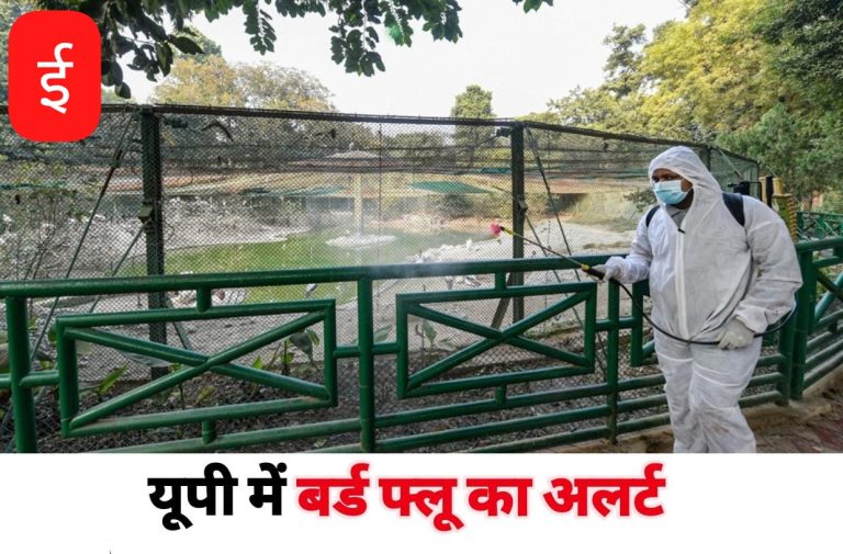 WhatsApp Image 2025-08-13 at 15.19.39