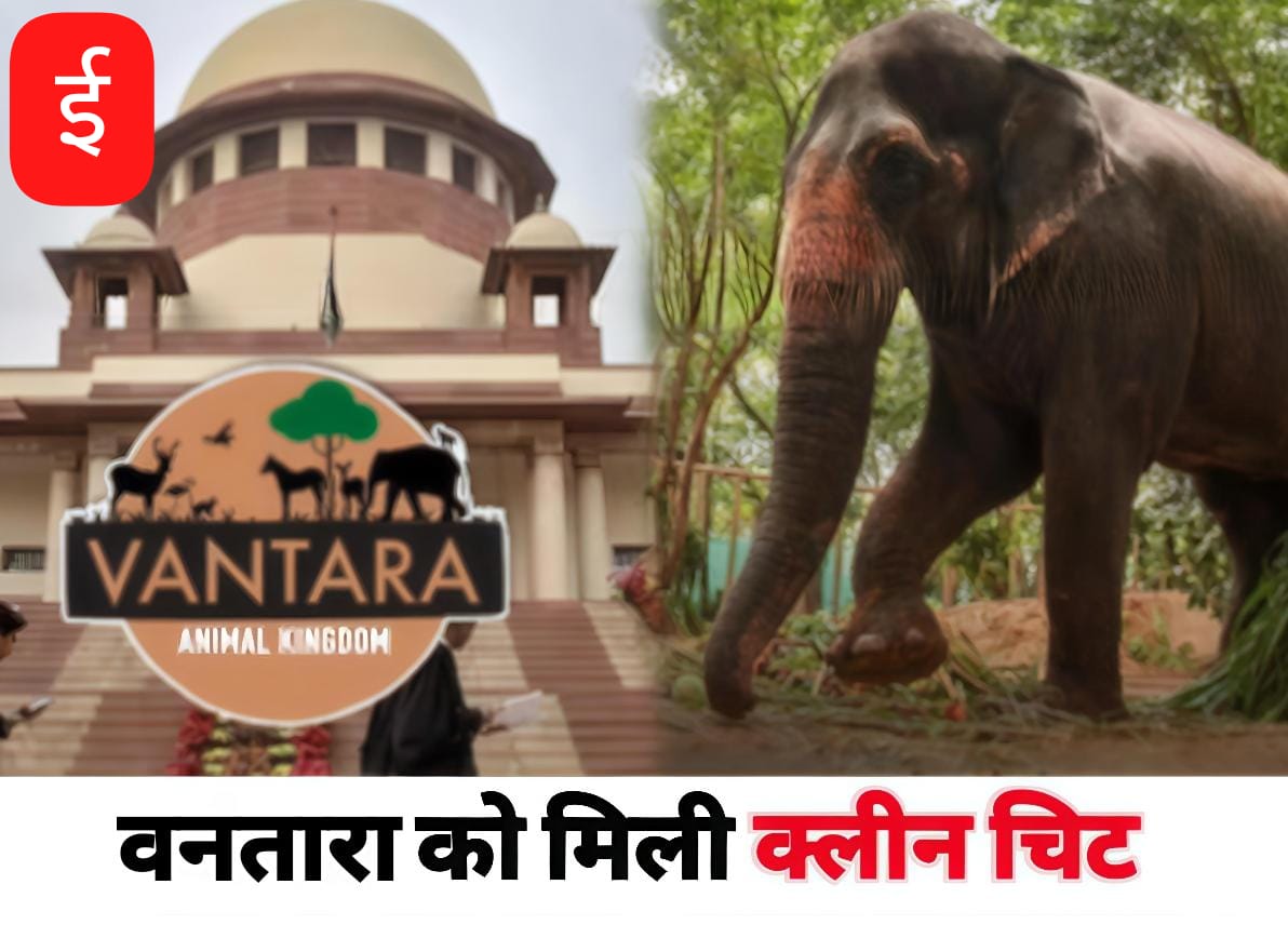 WhatsApp Image 2025-09-15 at 14.45.14