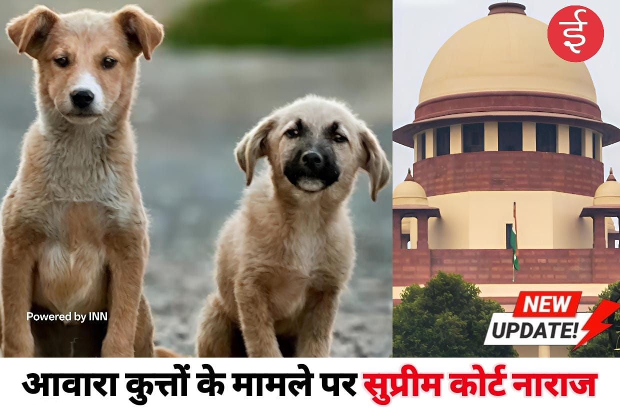 WhatsApp Image 2025-10-27 at 11.18.46