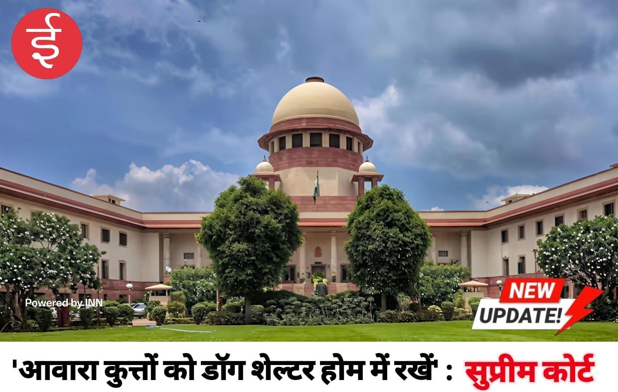 WhatsApp Image 2025-11-07 at 11.26.04