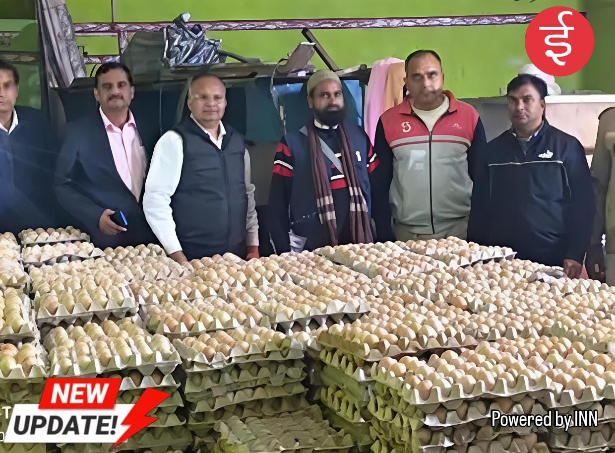 WhatsApp Image 2025-11-27 at 11.19.10