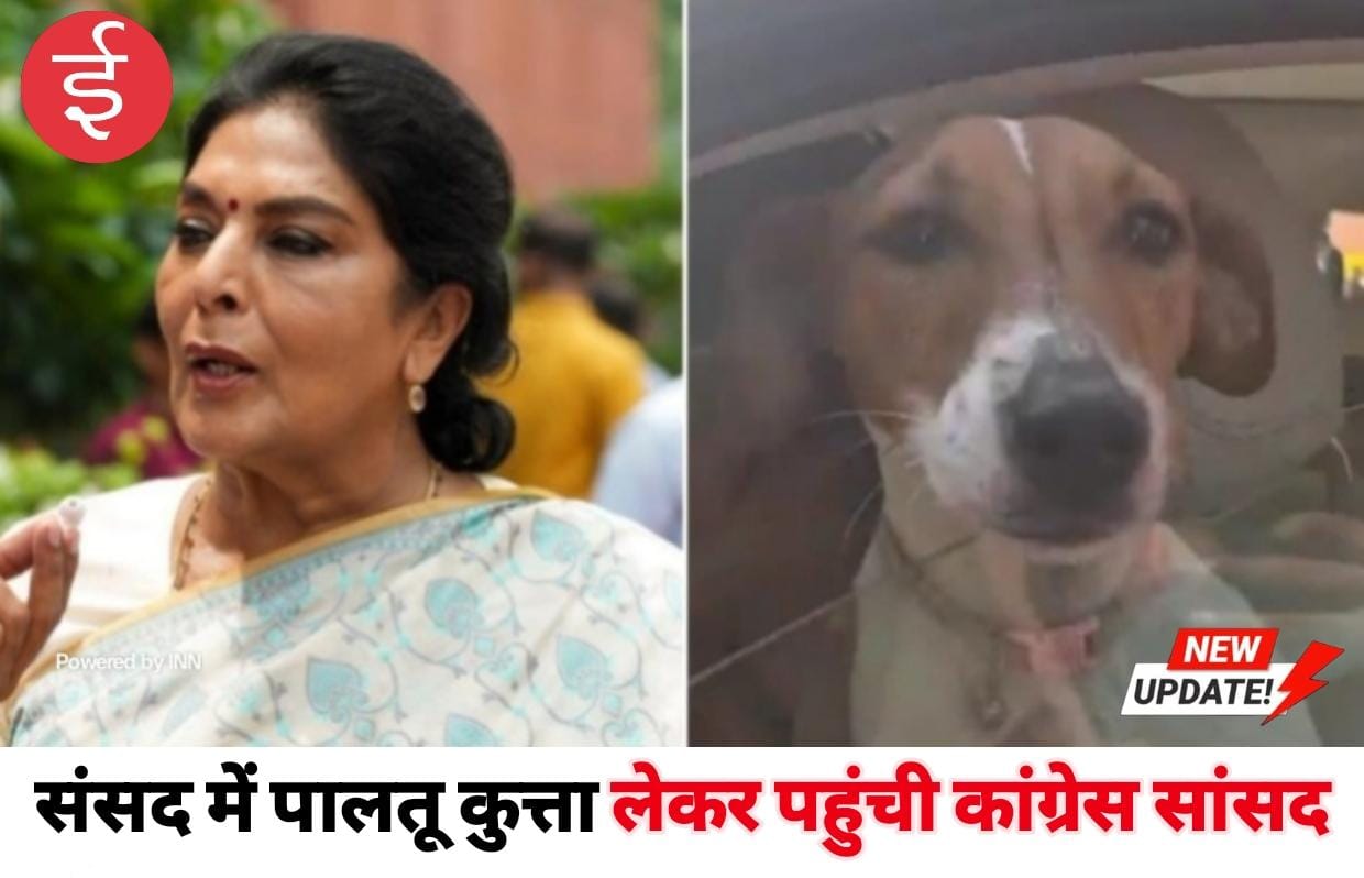 WhatsApp Image 2025-12-01 at 13.29.29