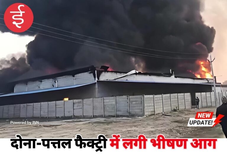 WhatsApp Image 2025-12-06 at 11.36.22