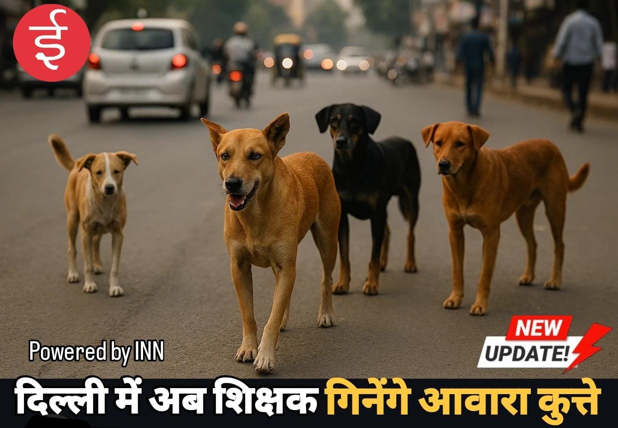 WhatsApp Image 2025-12-29 at 15.10.16