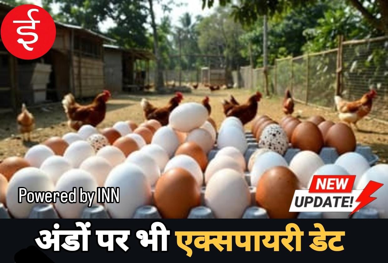 WhatsApp Image 2026-03-17 at 11.06.20