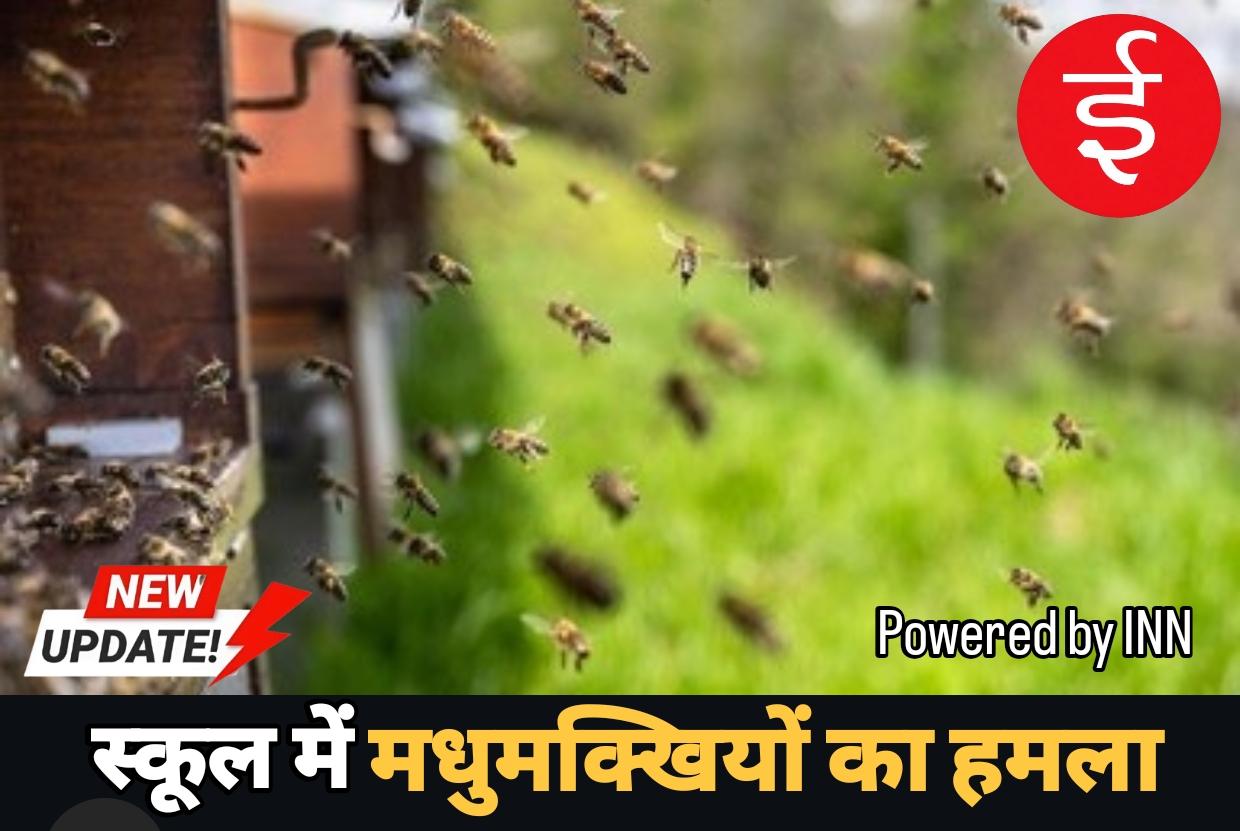 WhatsApp Image 2026-04-06 at 16.09.25