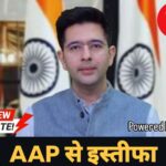 WhatsApp Image 2026-04-24 at 15.52.47