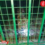 IMG-20260810-WA0010