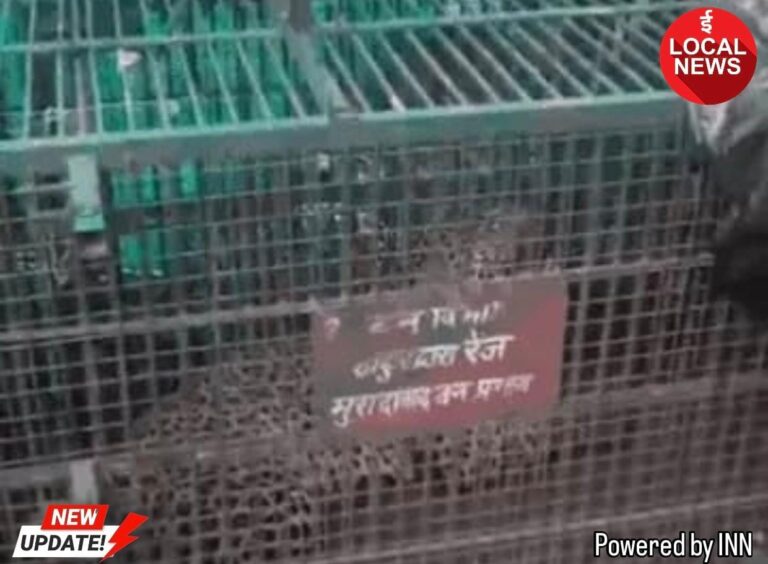 IMG-20260822-WA0003