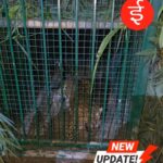 IMG-20260822-WA0066