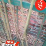 IMG-20260917-WA0075
